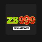 ZS 999 Game Logo