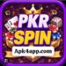 PKR Spin Game Logo