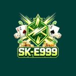 SKE999 Game Logo